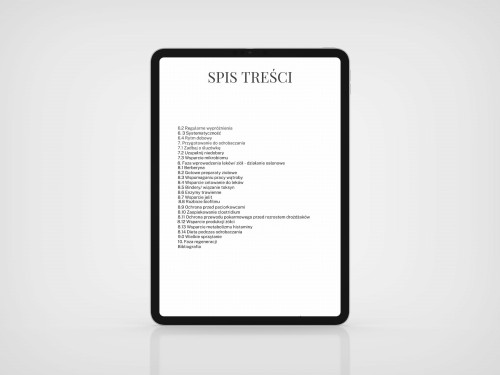 ebook 4.jpg