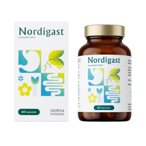 Nordigast - 4.png
